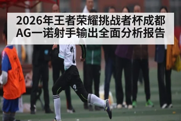 2026年王者荣耀挑战者杯成都AG一诺射手输出全面分析报告（leyu）